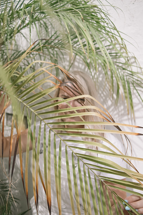 Aesthetic showcasing natural materials, reflecting the In The Ivy brand feel.