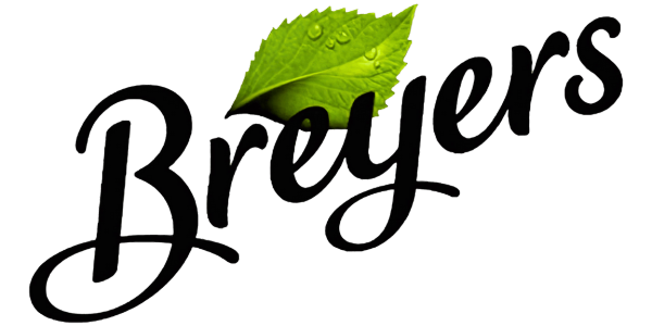 Banner Template (600 x 300 px) copy