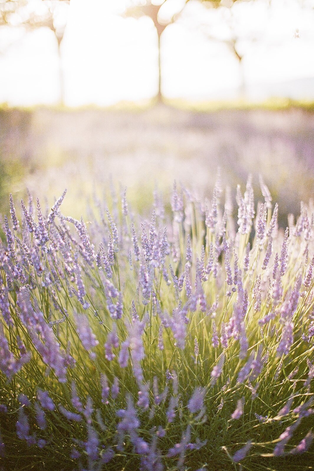 chateau-de-sannes-wedding-south-of-france-luxury-inspiration-mariage-provence-29