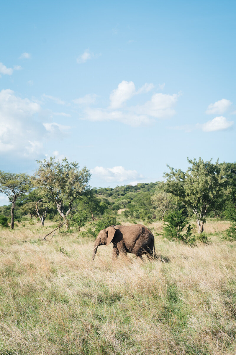 leila-brewster-photography-tanzania-0344