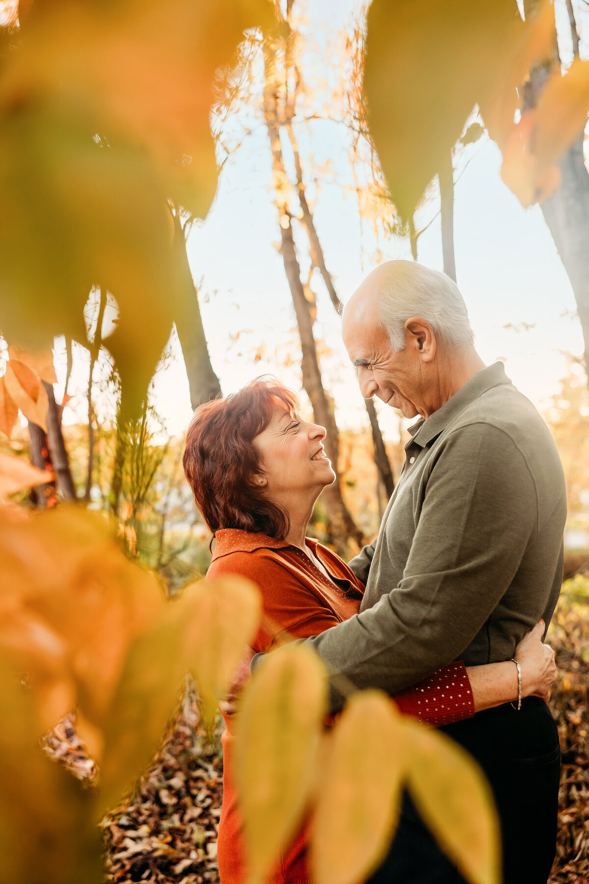 medina ohio  photographer, anniversary photoshoot, 50th anniversary
