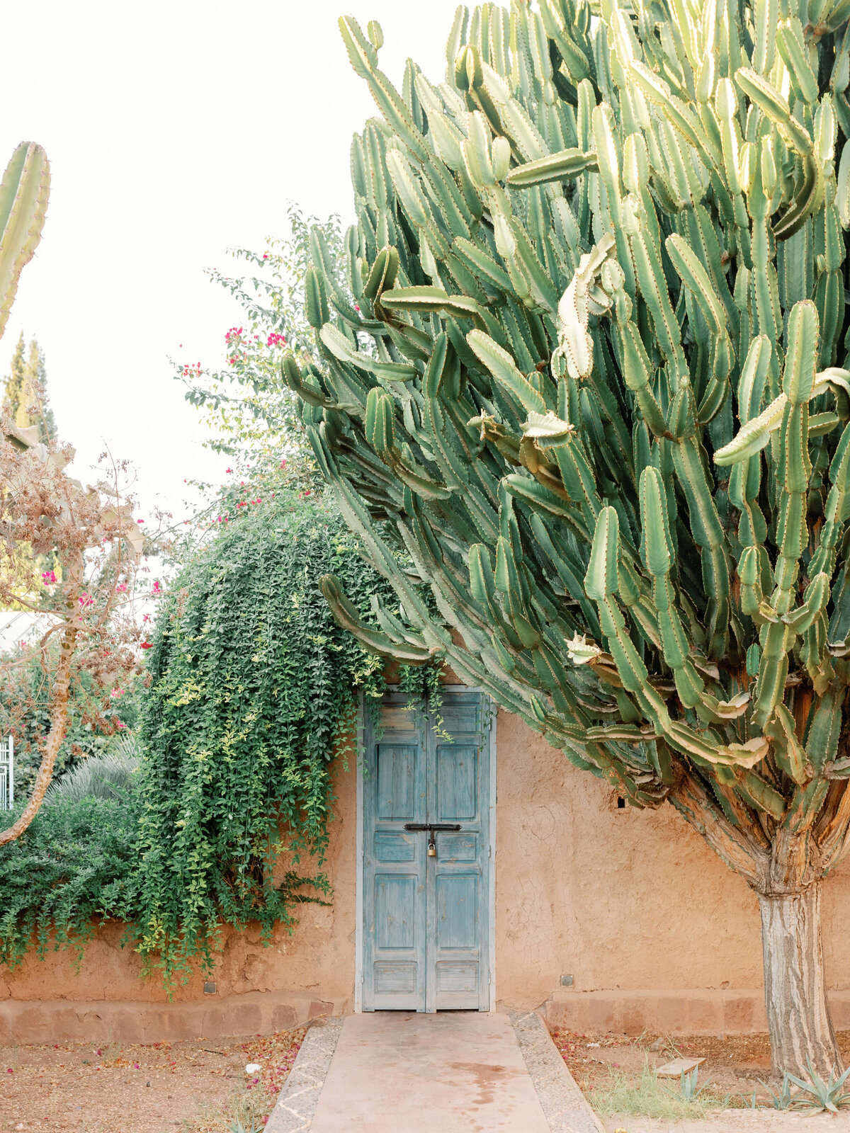 ©Diane Sotero Photography_Destination Wedding_Selman Marrakech_ Beldi Country Club_ Wedding_Marrakech_Morocco_0501