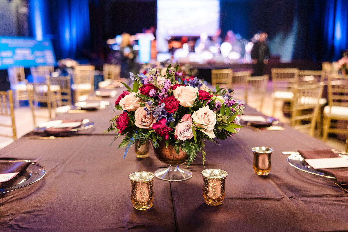 6-SavCorporatePhoto
