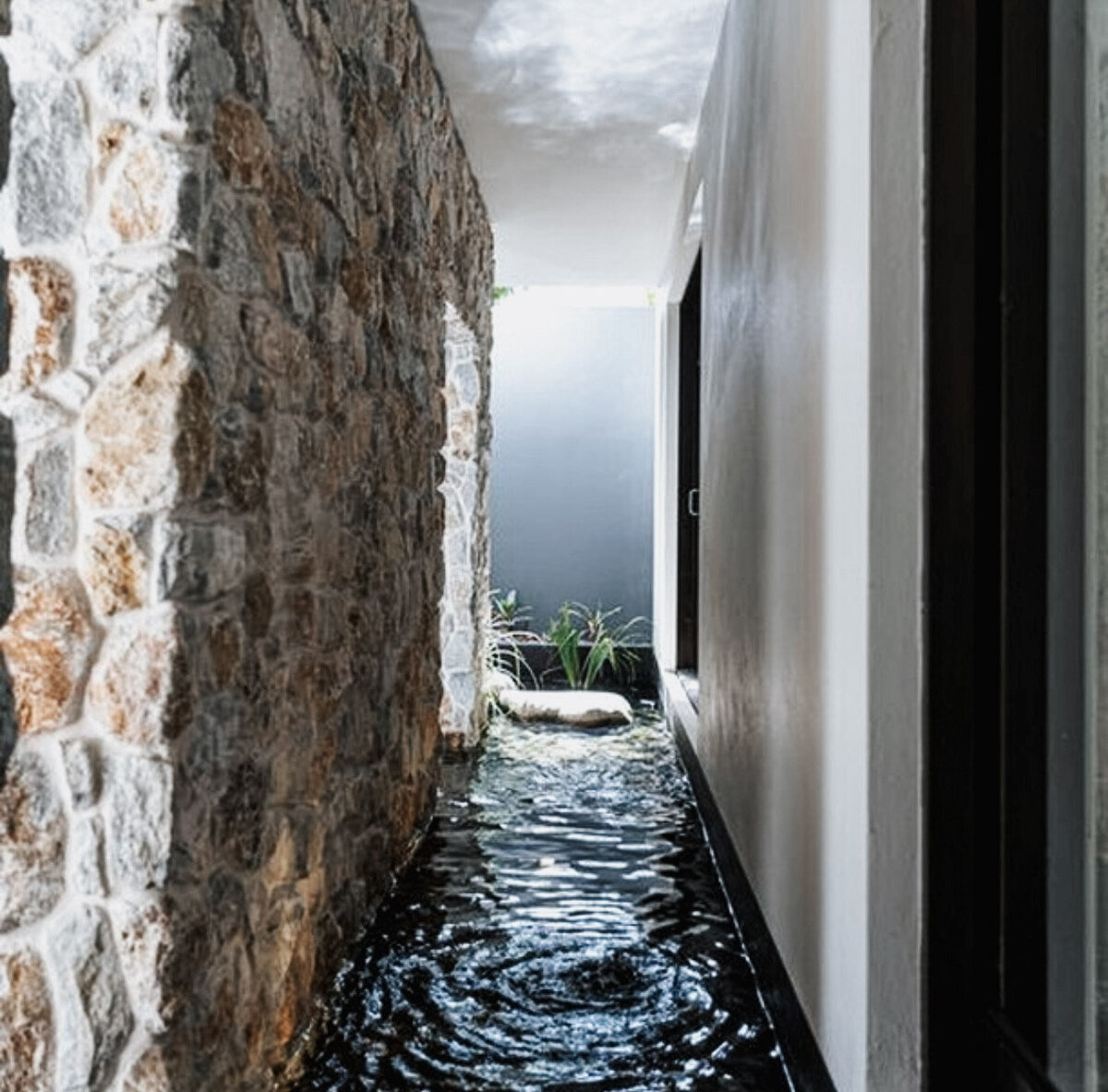 42-sunshine beach pic3