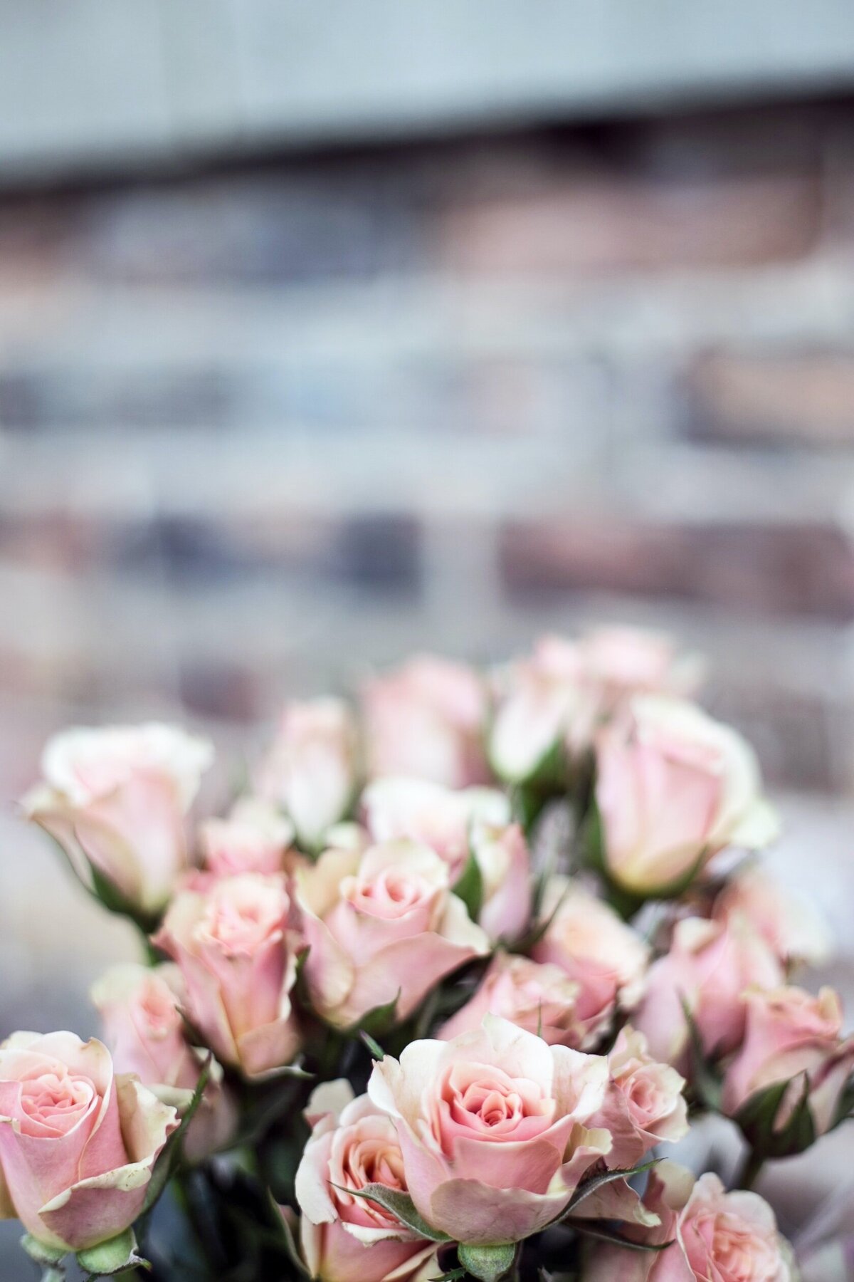 ornella-binni-glXJc3_V7V8-unsplash