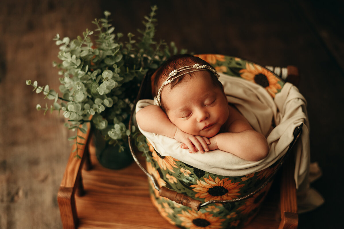 Boho newborn