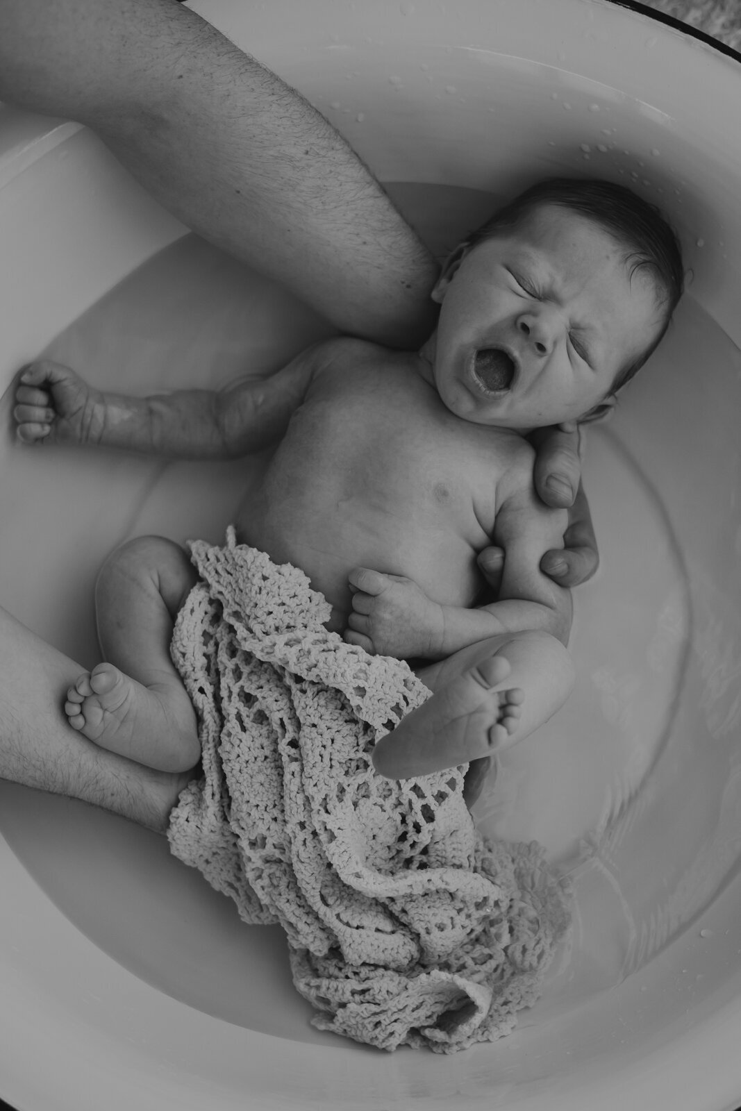 Frombumptobaby-newborn-56