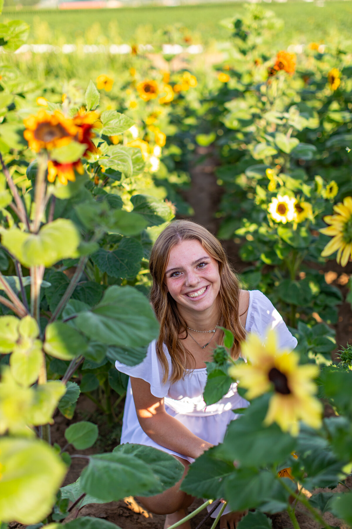 Addison sunflower shoot _0013