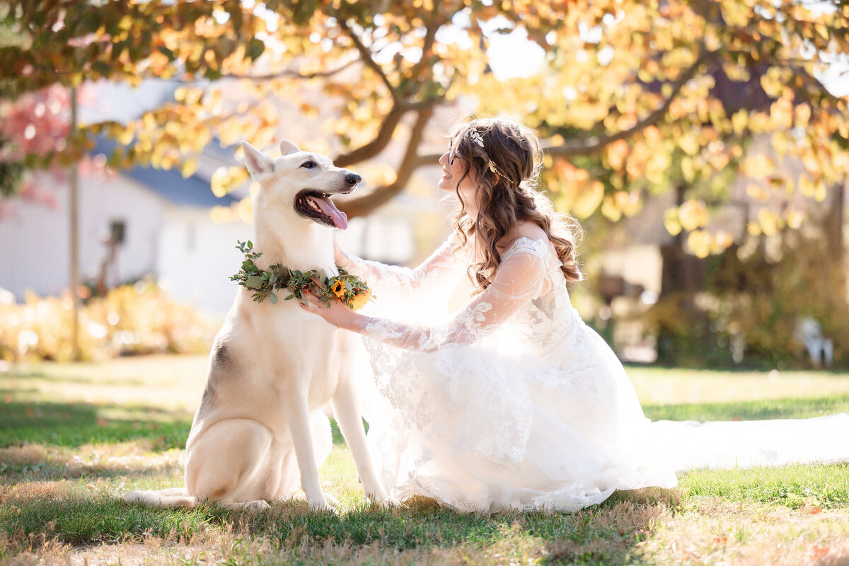 bride with her husky dog in wedding day photo