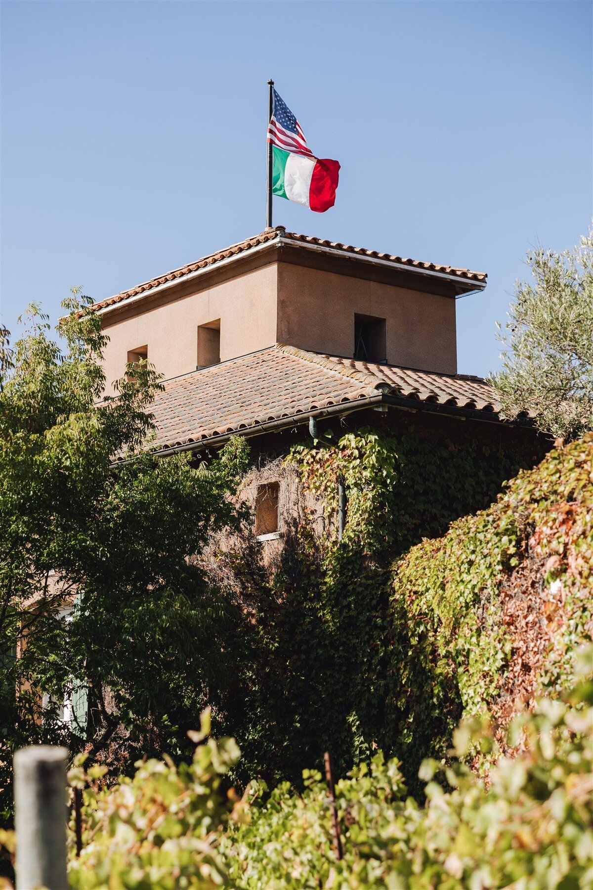 viansa-sonoma-wedding-annie-ben-ashley-carlascio-photography-0161