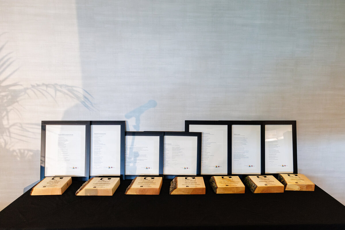 LandAwards2024_bySRace_8463