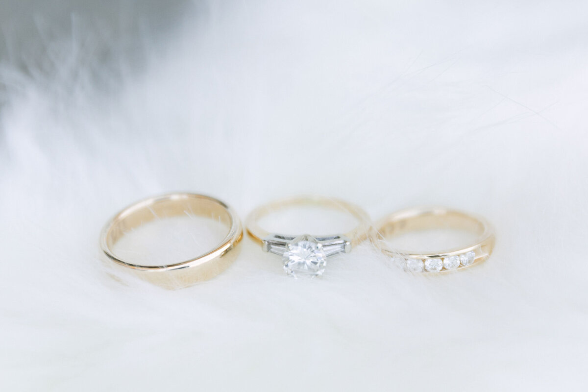 Highlands-Ranch-Mansion-Wedding-Mrs-Ferree-Photography0
