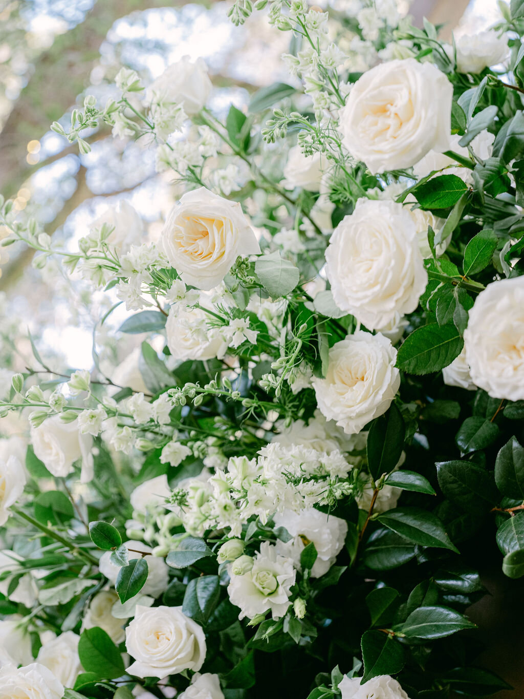 PRISCILLAANDWILLWEDDING_SADDLEROCK_SALLYPINERA_BESTBRIDE-473