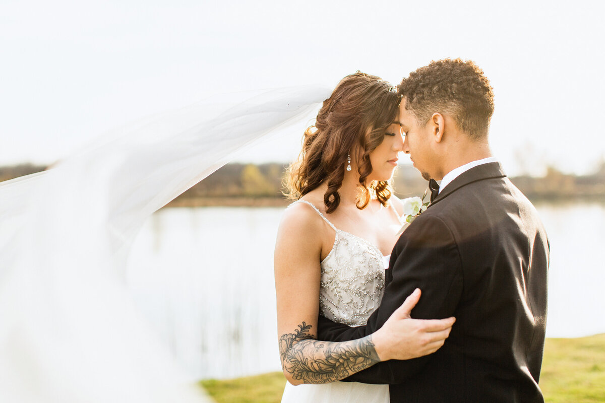 wedding-photography-veil