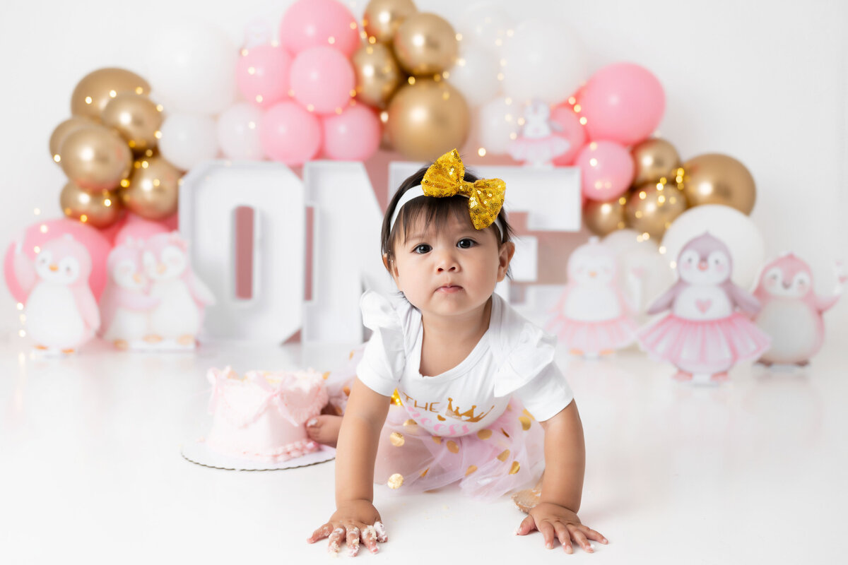 Chicago-Cake-Smash-Photographer-5004_1