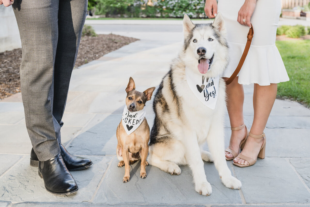 SPRING ANN ARBOR ENGAGEMENT SESSION AT THE LAW QUAD WITH KARI DAWSON9