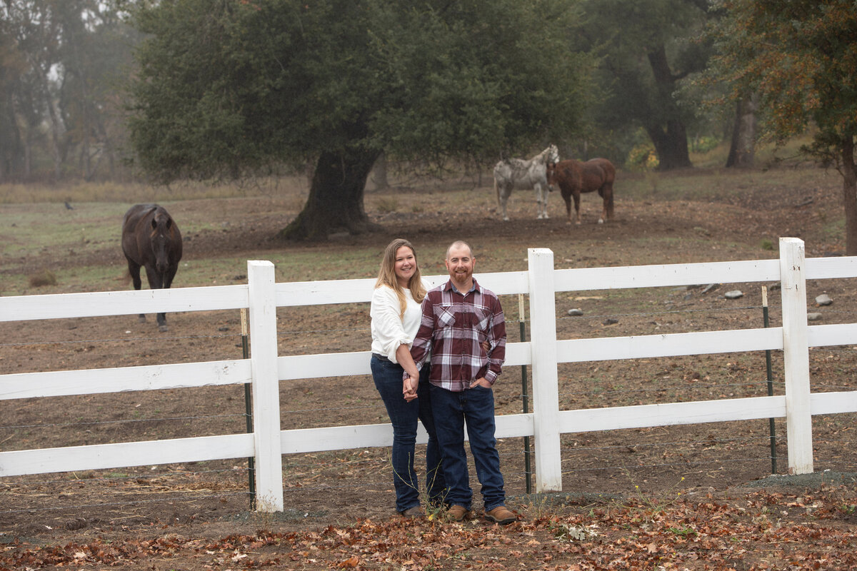 engagement shoot with  horses