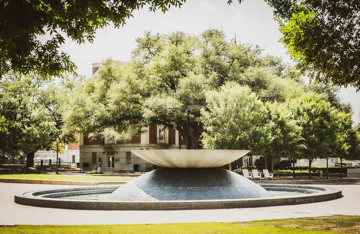 Fountain in Waco Texas surrounded by trees beside text stating that Rooted & Nourished Psychotherapy provides virtual therapy for women across Texas