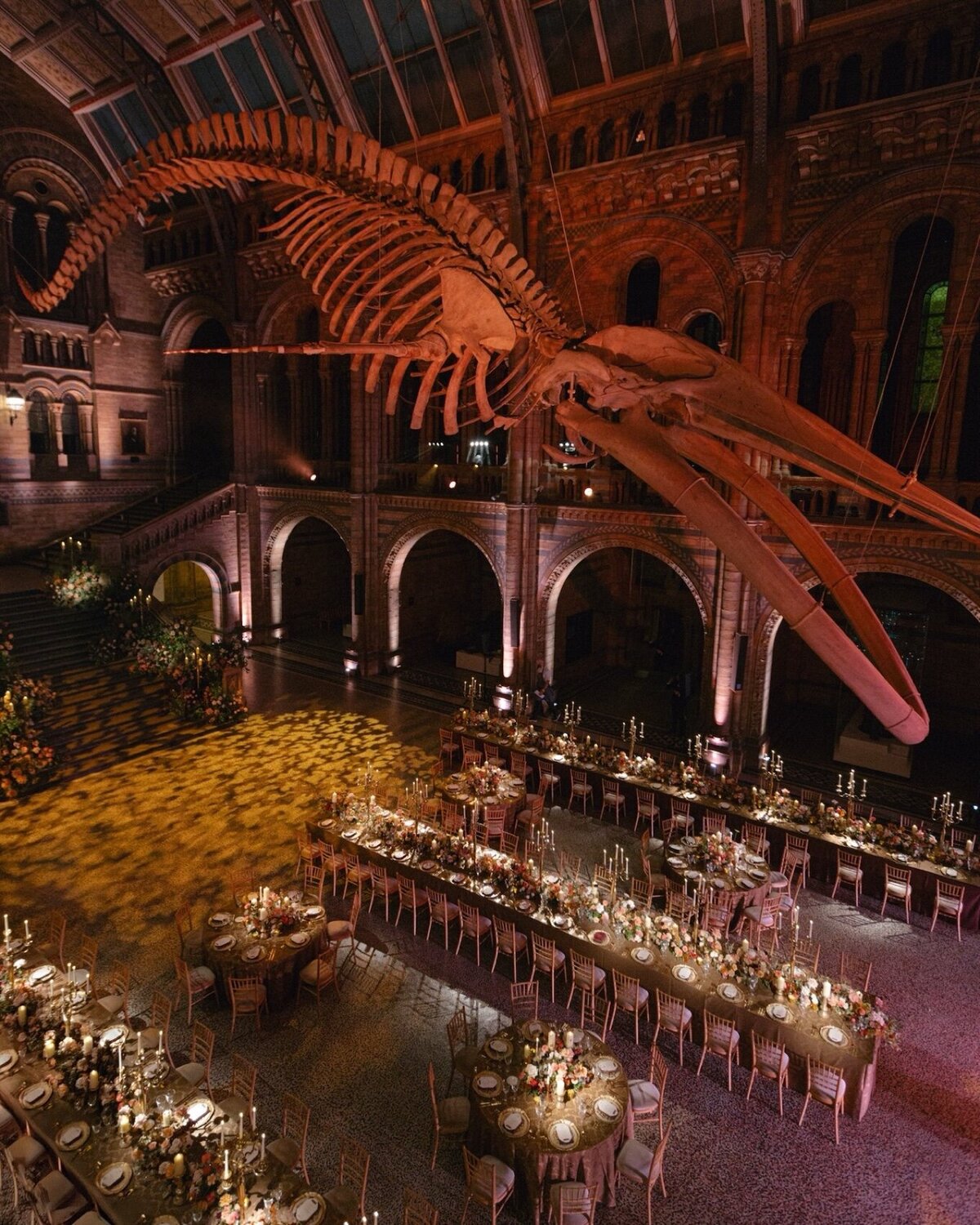 natural-history-museum-london-wedding-31