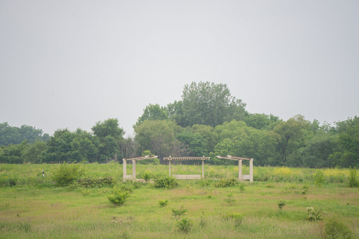 DSC00771