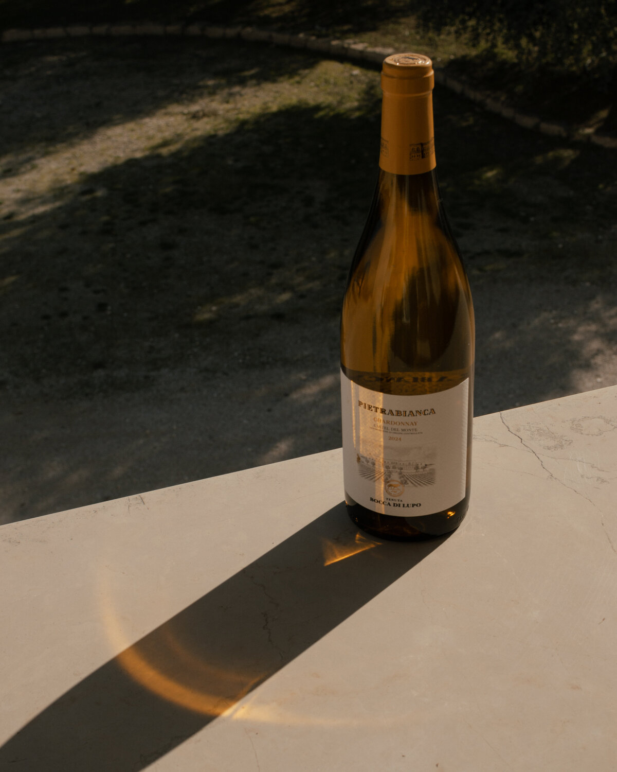 24Nov2025_BoccaDiLupo-18