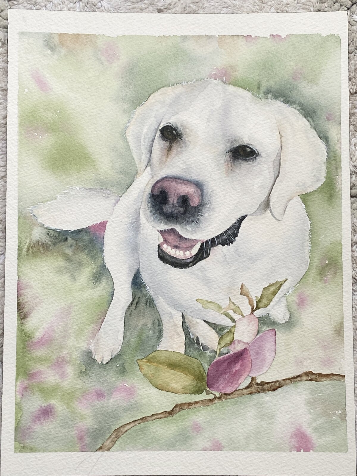 pet portrait watercolor