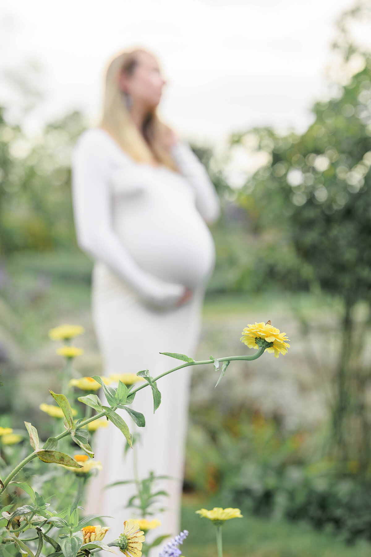 rose-garden-maternity-session-harkness-memorial-connecticut-29