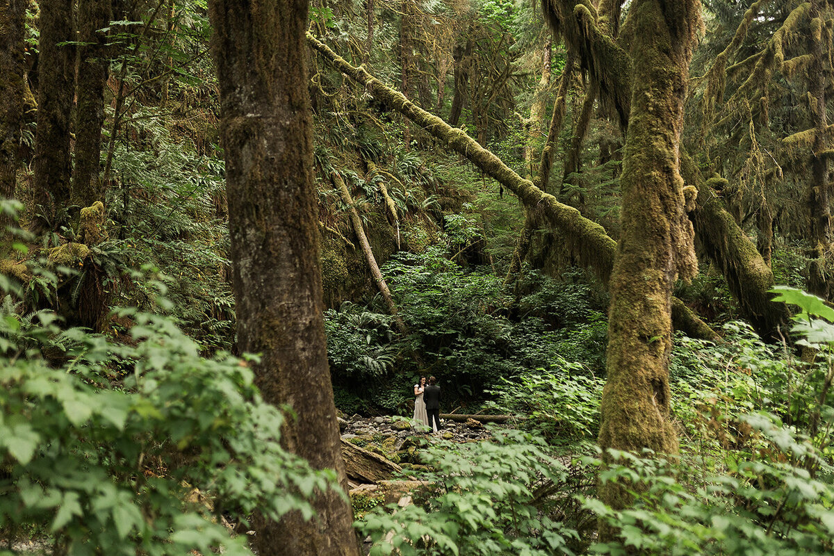 Olympic National Park Elopement  - Tara Nichole Photo - 2023 - Kyle and Keaton-26