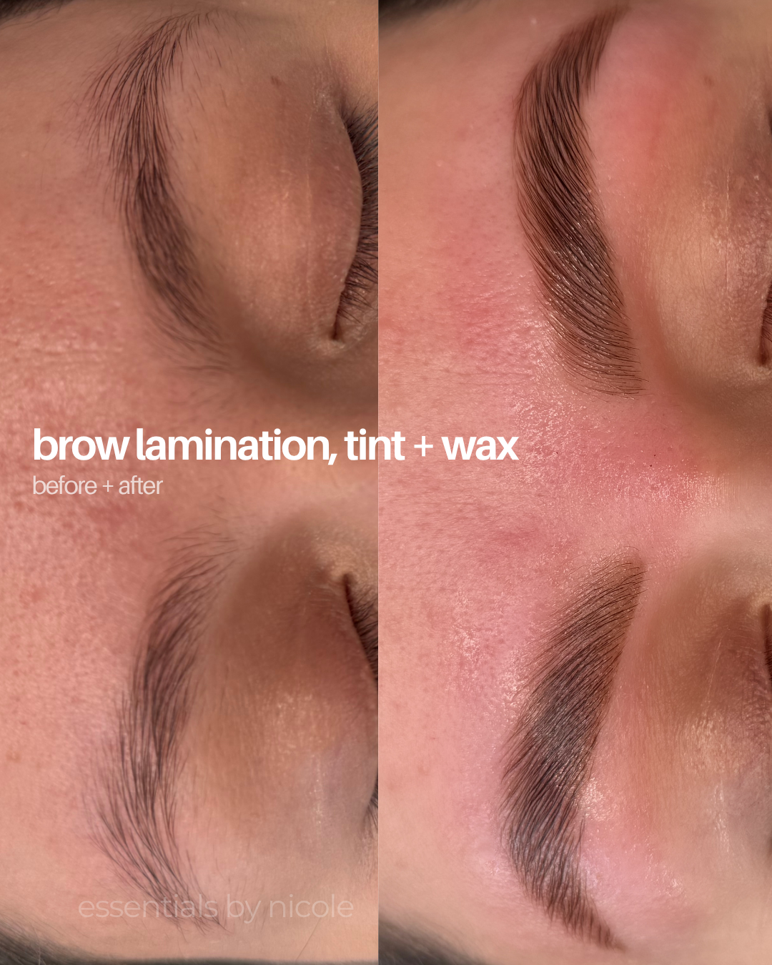 brow lamination and tint west springfield ma
