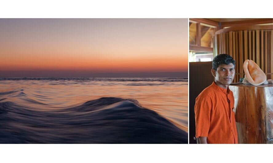 11_0_387_1newlayout_wave