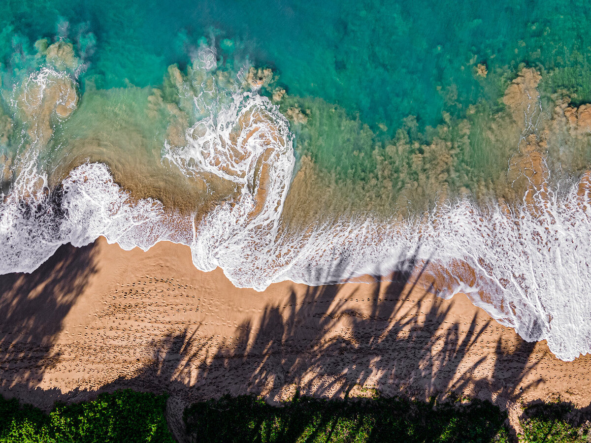 Rachael-Zimmerman-Photography-Denver-Colorado-Maui-Hawaii-LGBTQ-Adventure-Photographer-Landscape-58