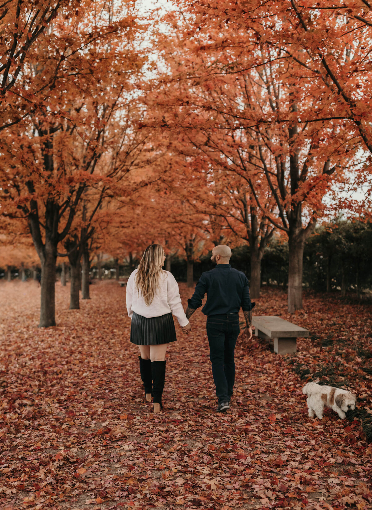 Couple walking through orange fall leaves