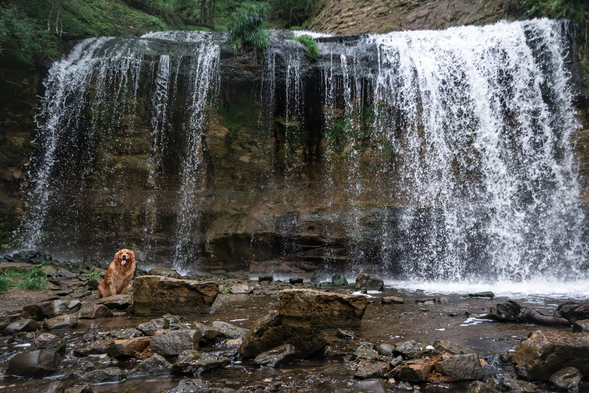 8V5A0498-Pano-Edit-1