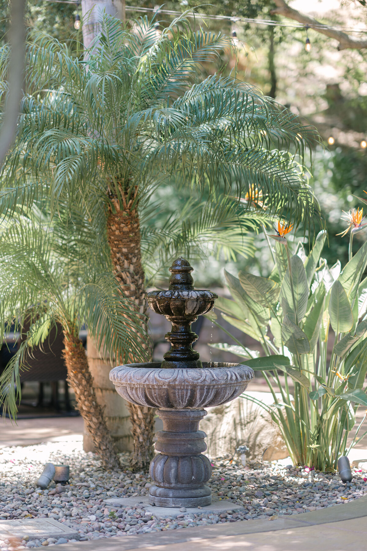 Circle Oak Ranch Wedding- Southern California Wedding Venue-Leah Black Photography4