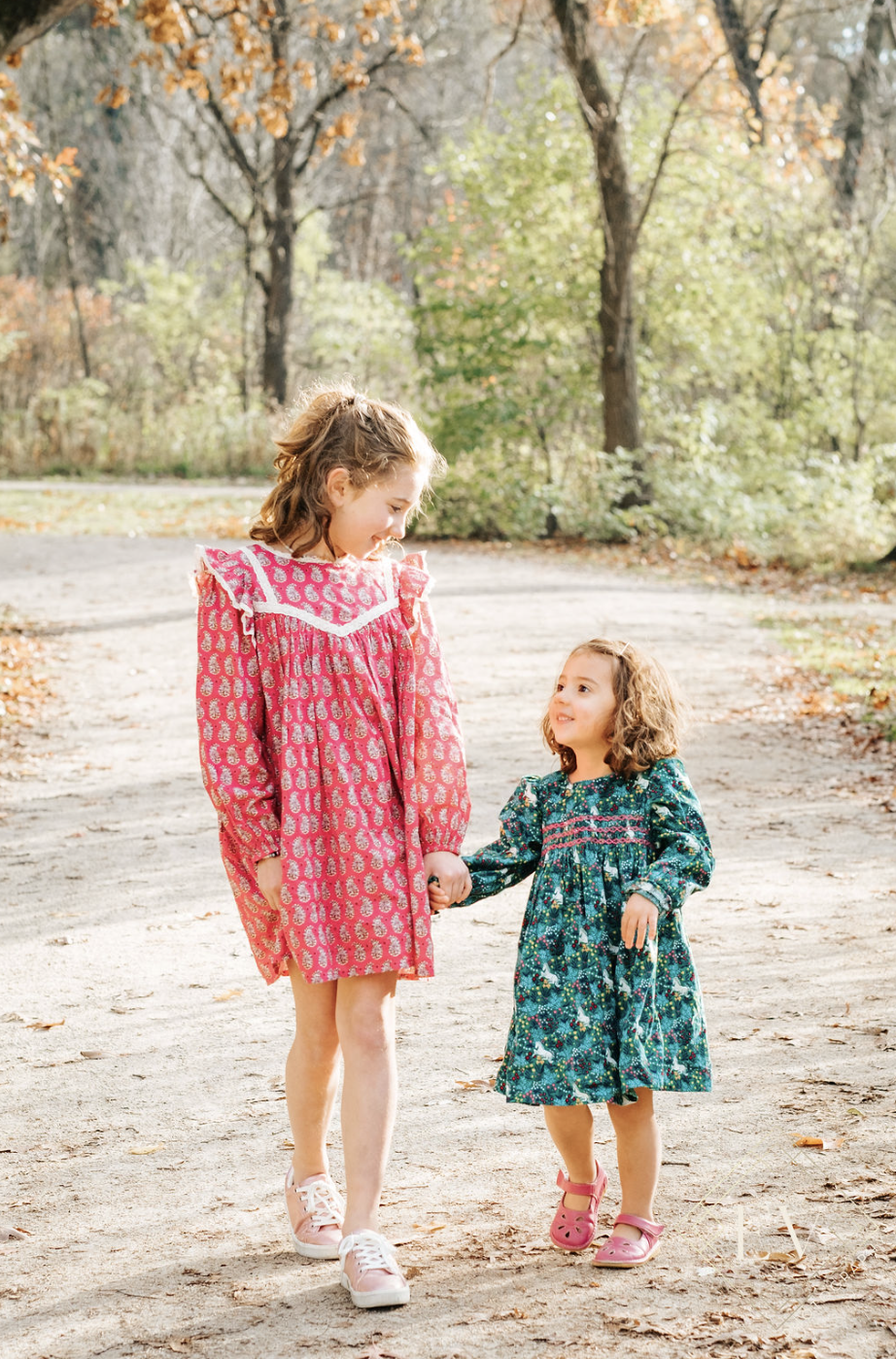 Naperville Family Mini Sessions 2024