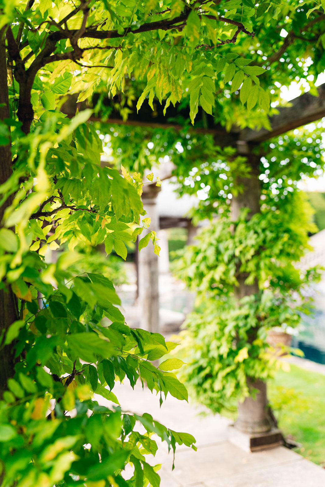 Manny_Bal_EmilyCollettPhotography0034