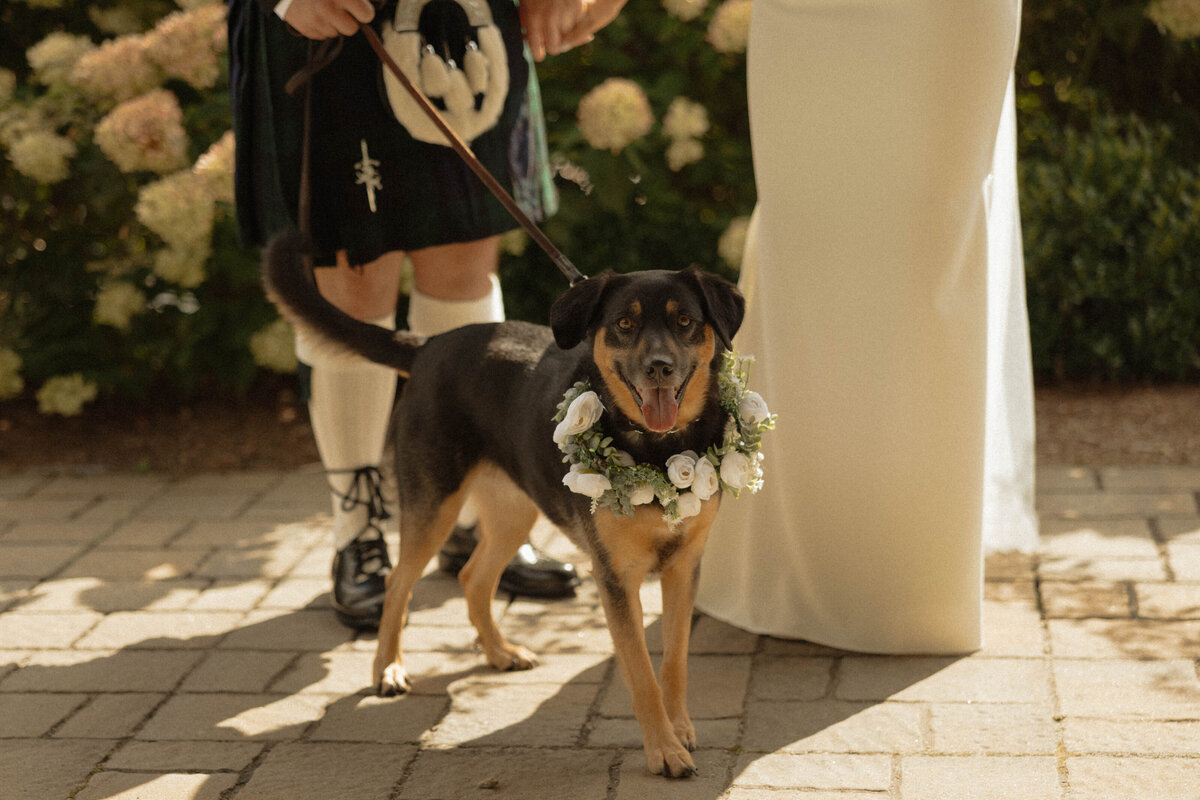 CG-CameronWhitney-28