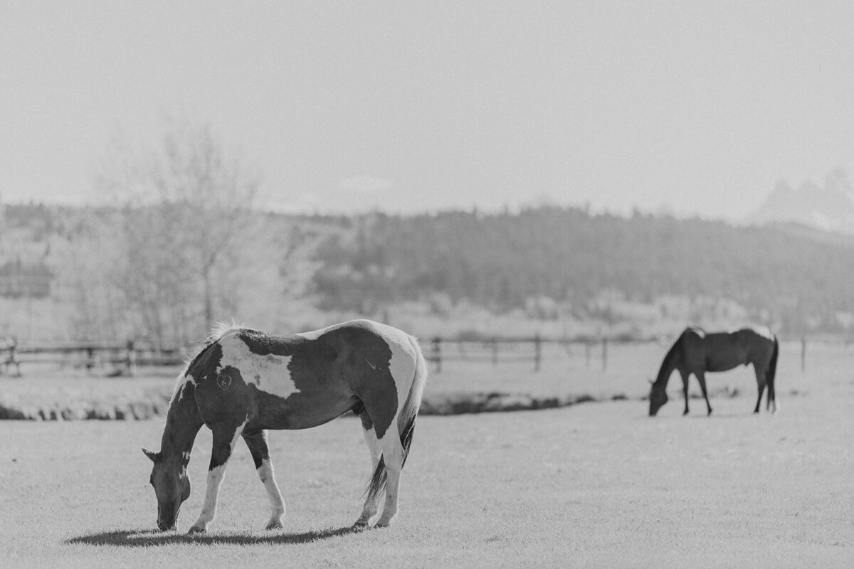 Diamond-cross-ranch-wedding-J-NFoxtails-photography-127
