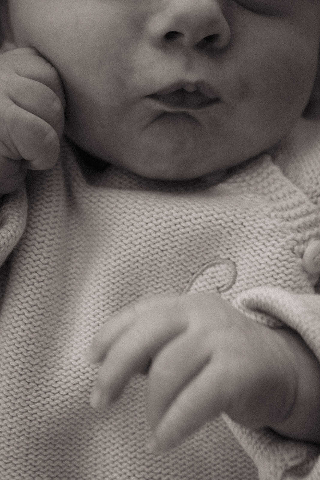 BabyColby2024-22_websize