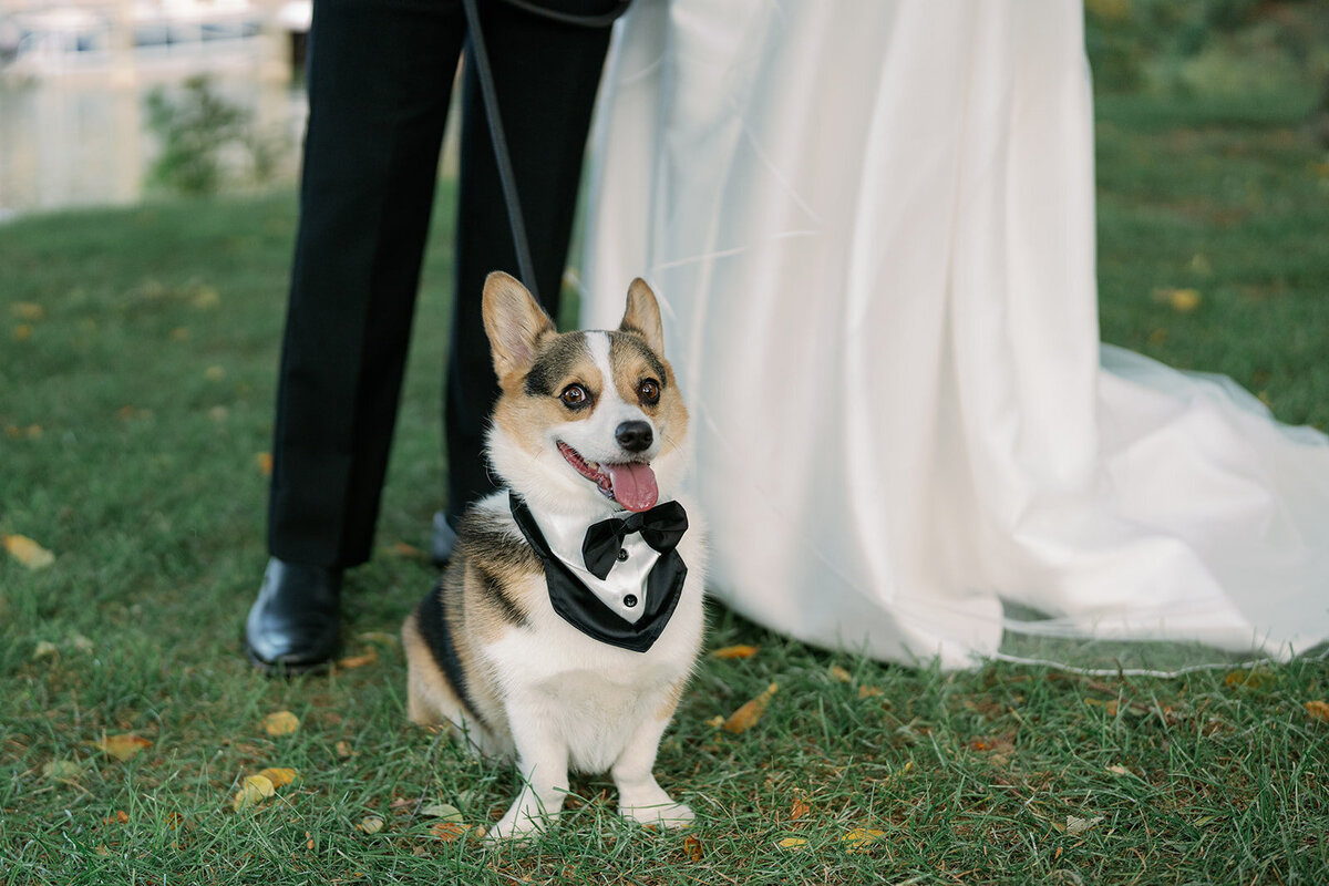 Bride and groom’s dog in tuxedo attending Boatwerks Waterfront wedding in Holland Michigan.