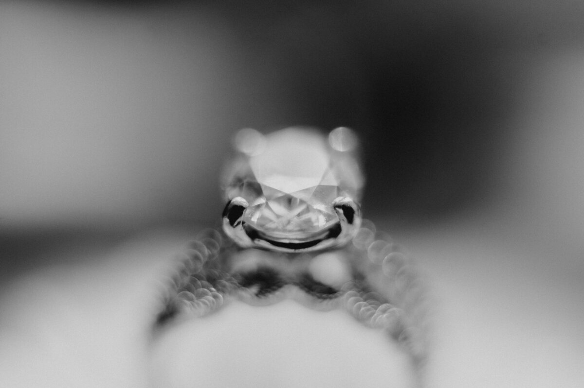 DSC_1536-2