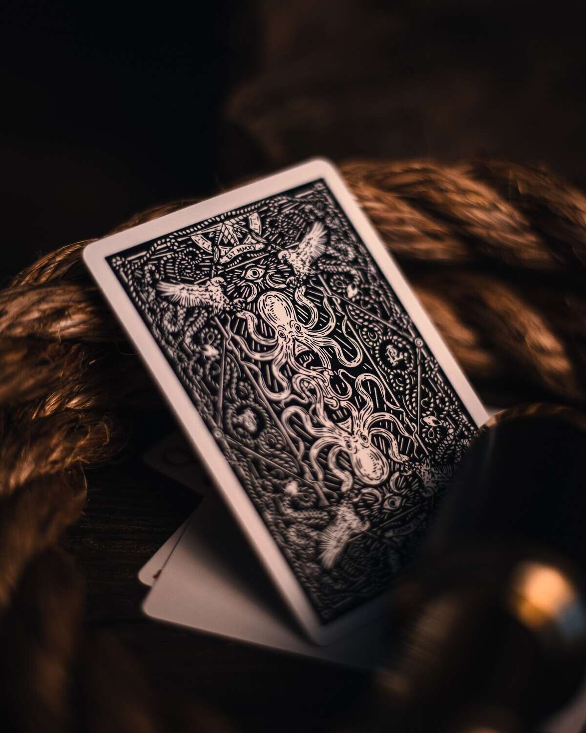 Back of Seafarers  playing card resting against rope