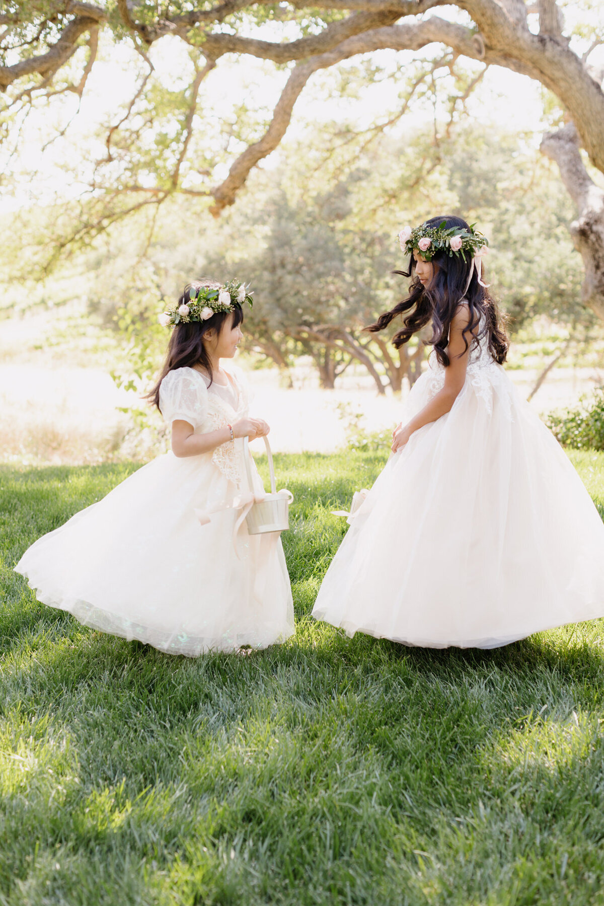 tayler-enerle-wedding-cass-winery-vintage-car-oak-tree-63-4