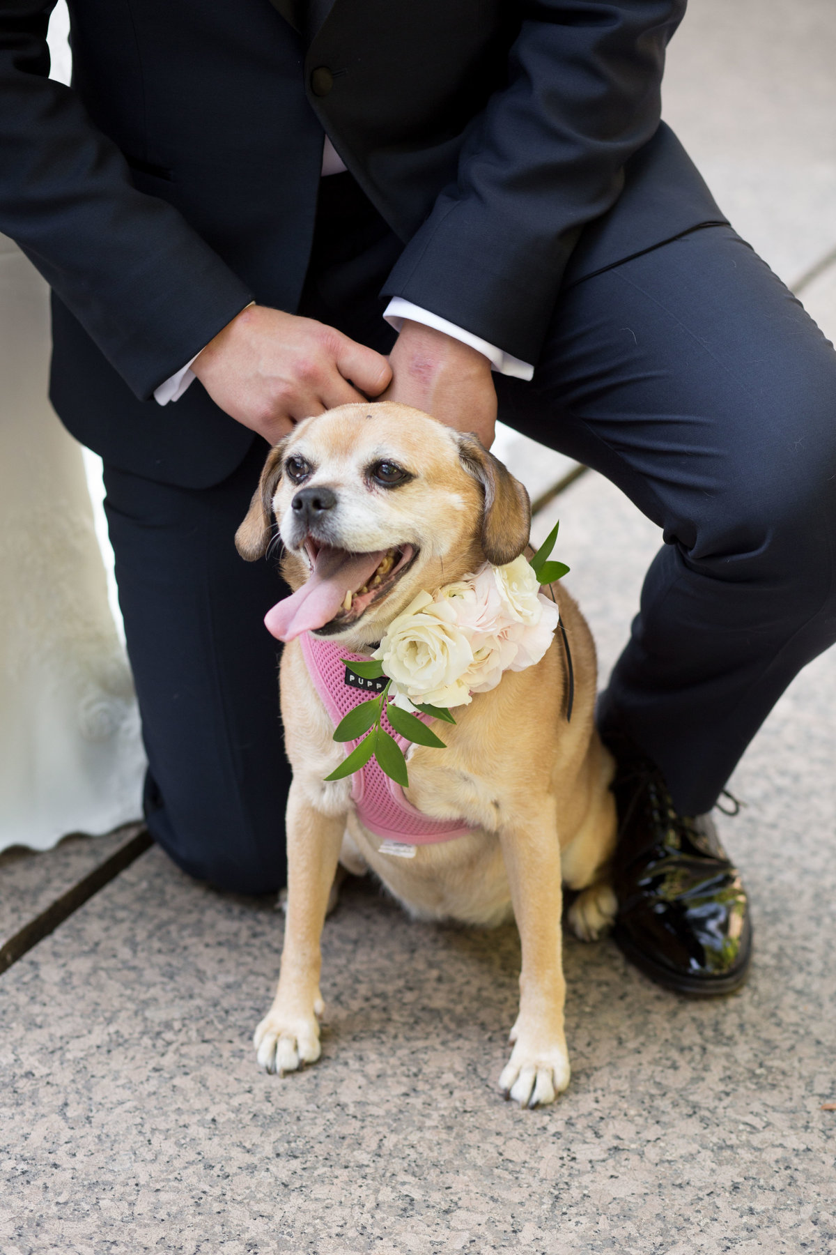 Melissa and Anthony Wedding - NPP426