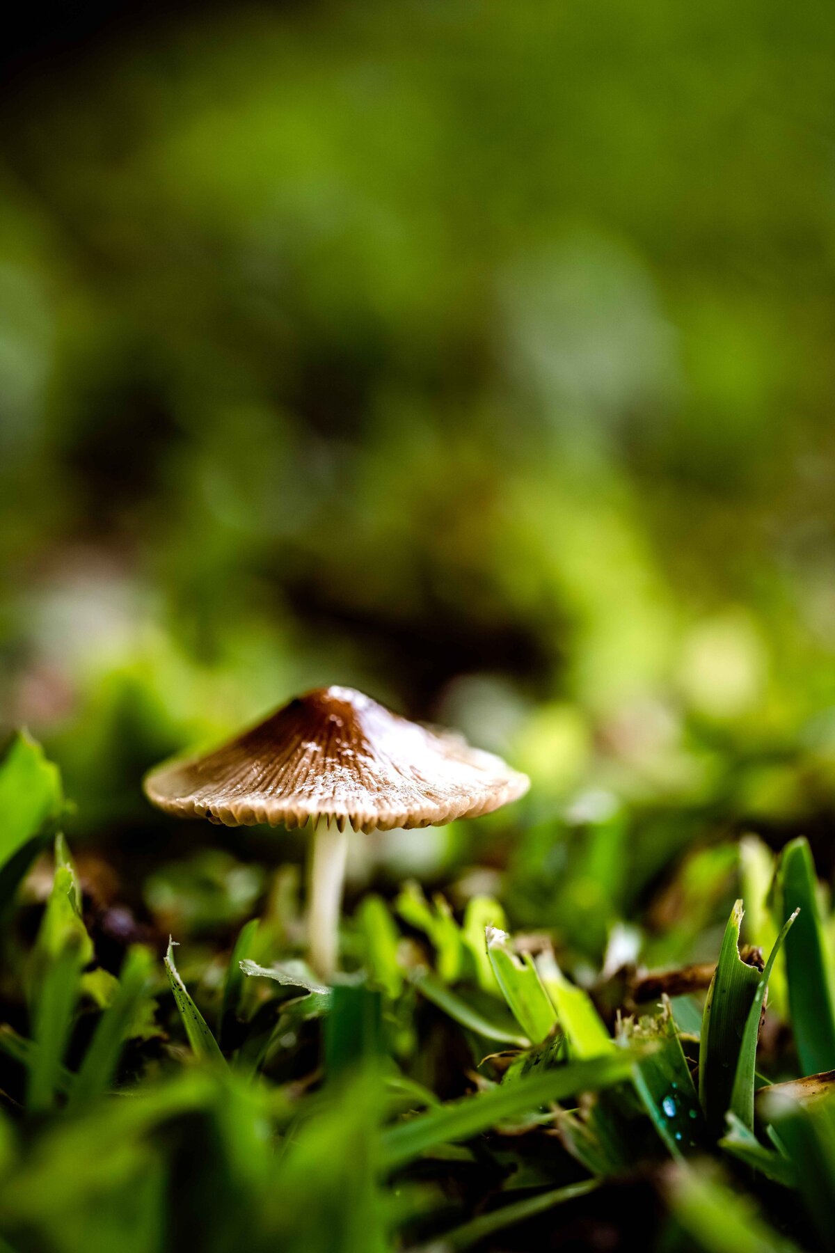 _DSC4387-Edit