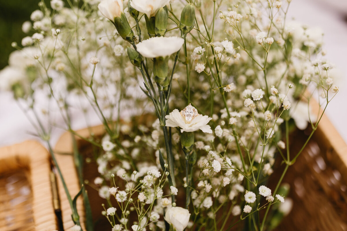 stlengagementphotos-18