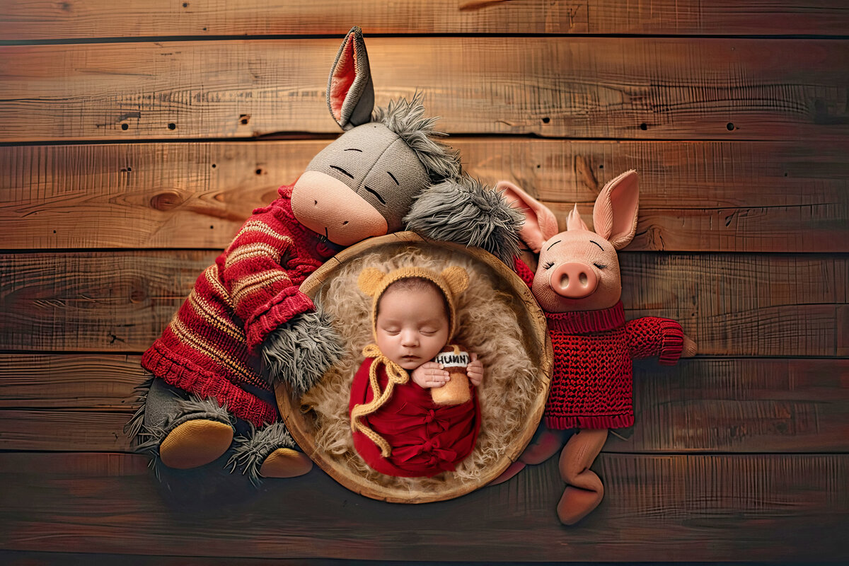 20190502Joaquin's Newborn Session (Jannica Resurreccion)Winnie the Pooh