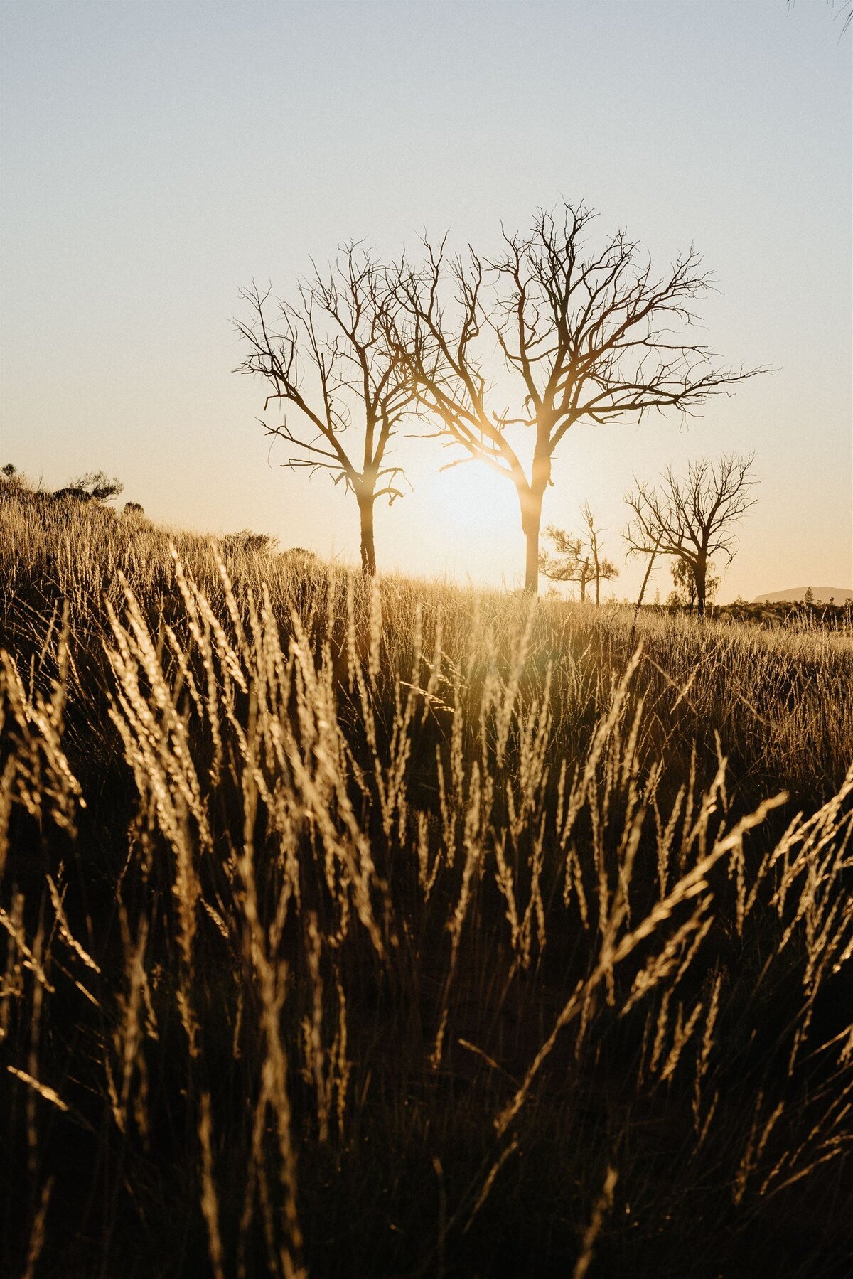 Uluru-Australia-Elopement-Photographer-121