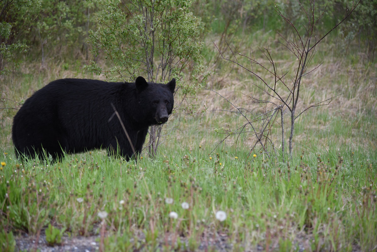 Wade_Muir_Photography_Places-edits-43