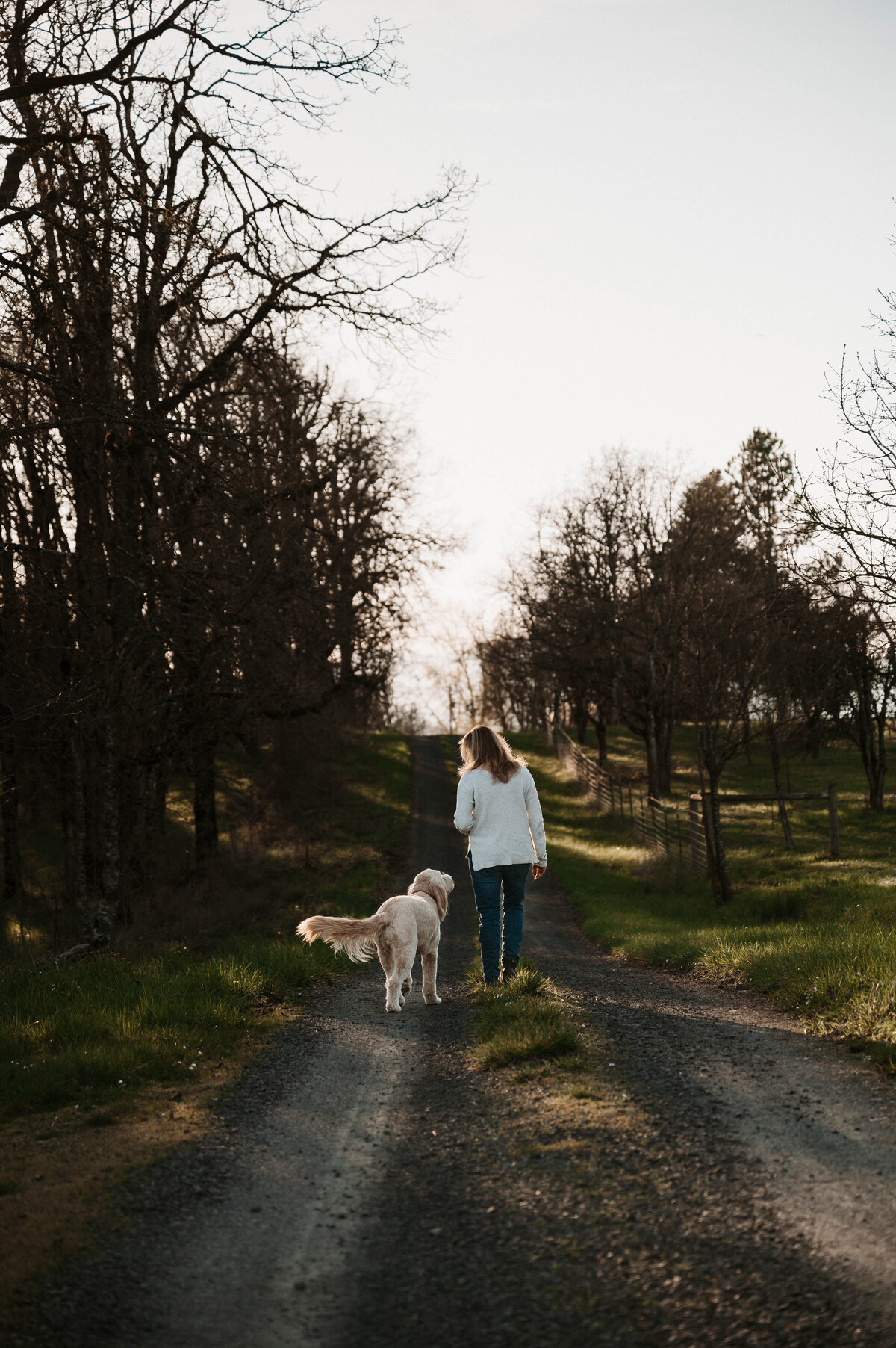 Arlo-8452